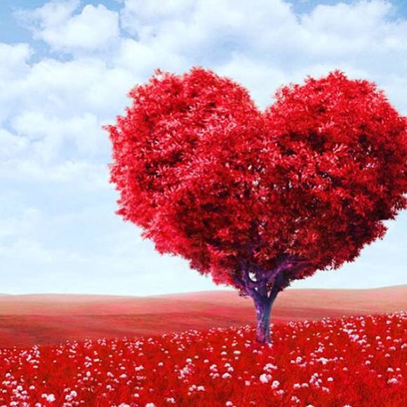 Meet your Posher, Monique - Picture 1 of 1